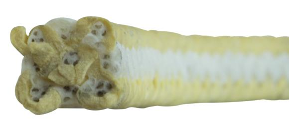 Tresse 8921-K
